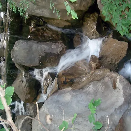 Jurlina Lejlighed Seline