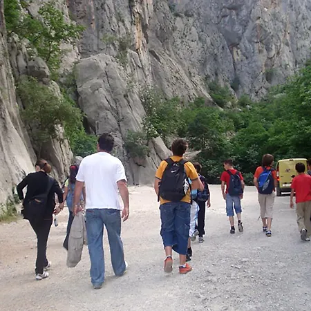 Jurlina * سيلين