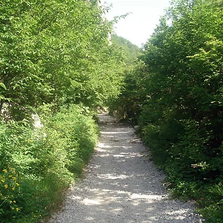 アパート Jurlina